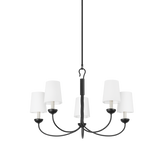 Montpelier Clear Functional Design Chandelier