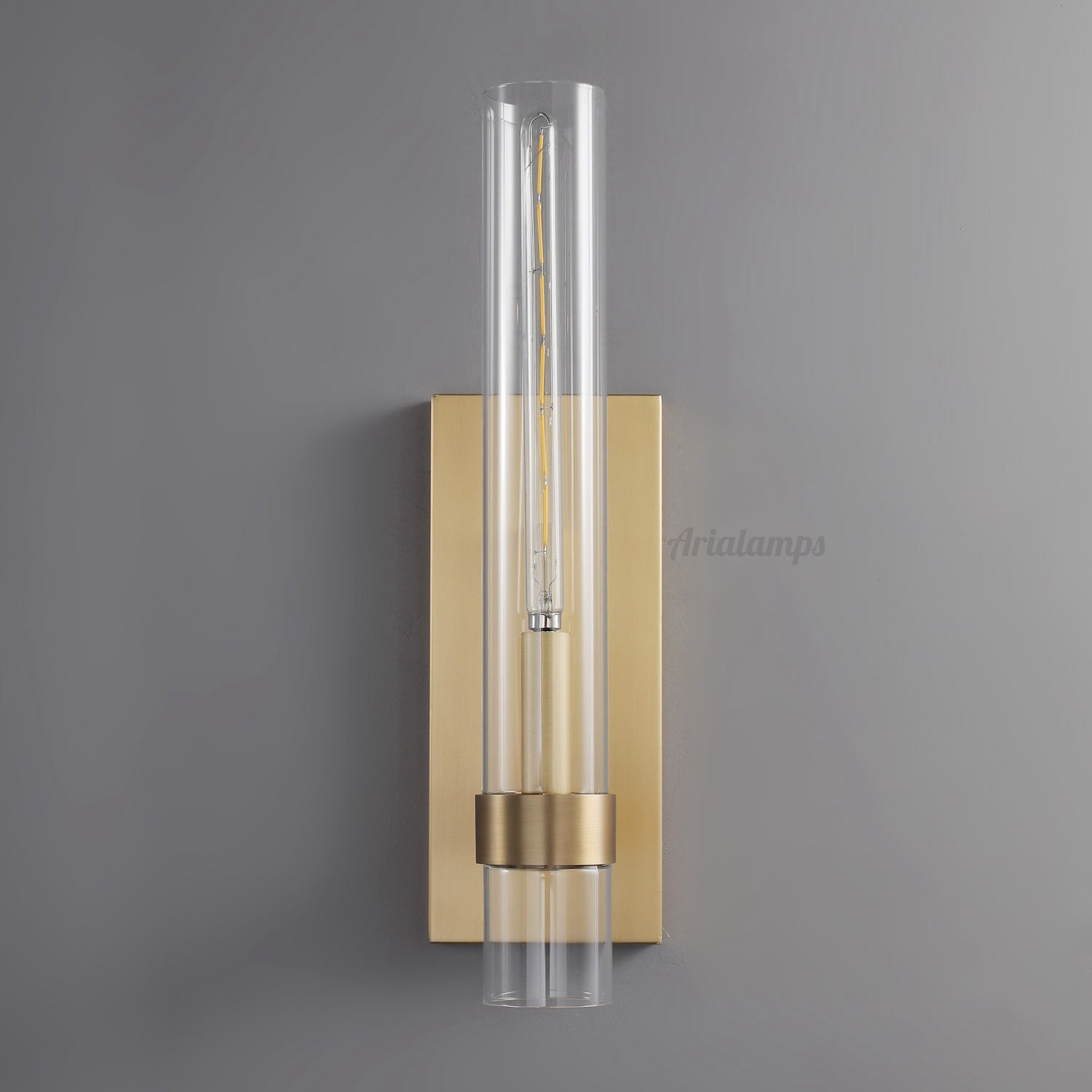 Aria Rachel Modern Glass Wall Sconce