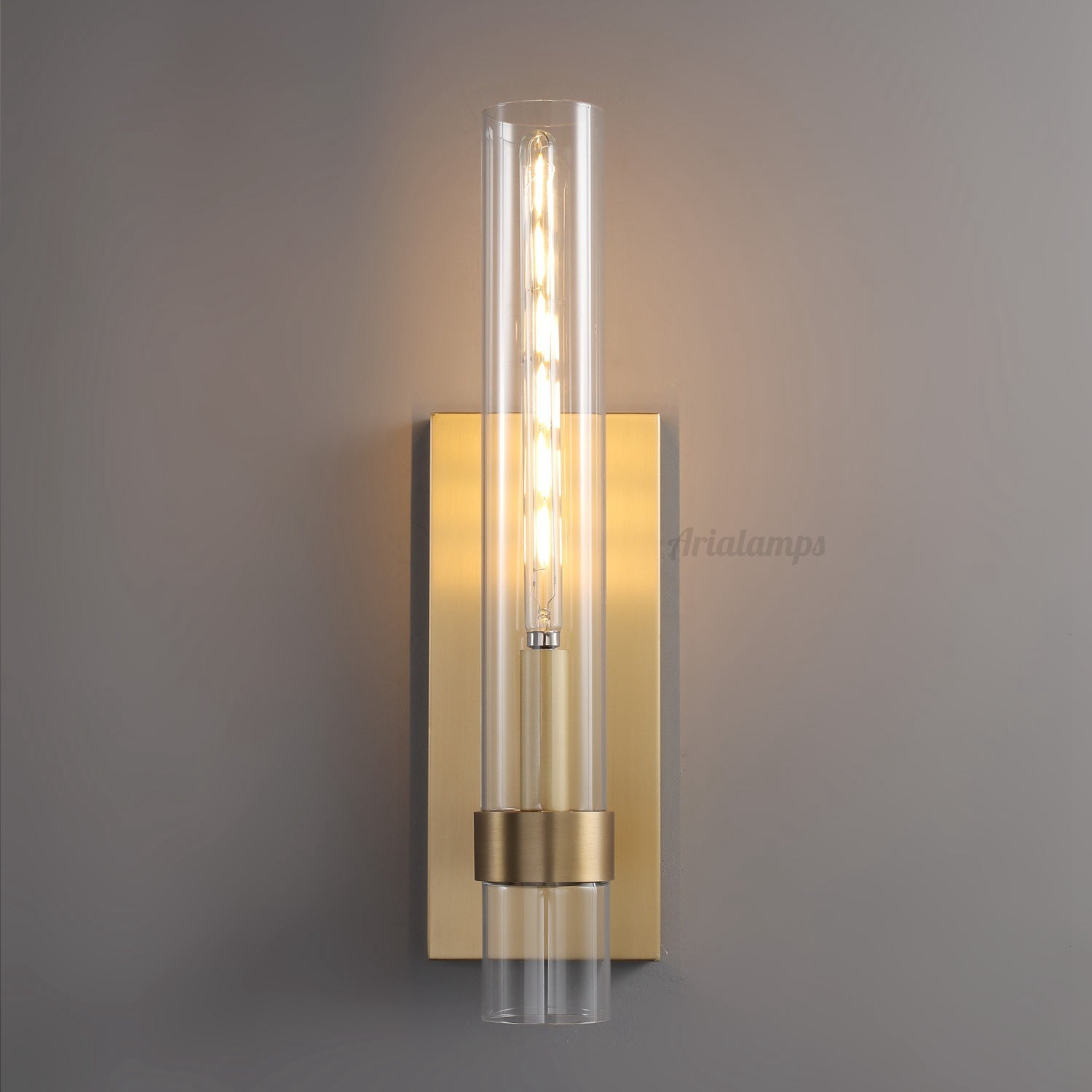 Aria Rachel Modern Glass Wall Sconce